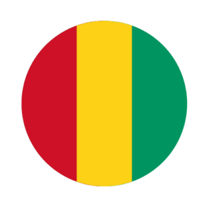 Guinea legalization for company documents Switzerland