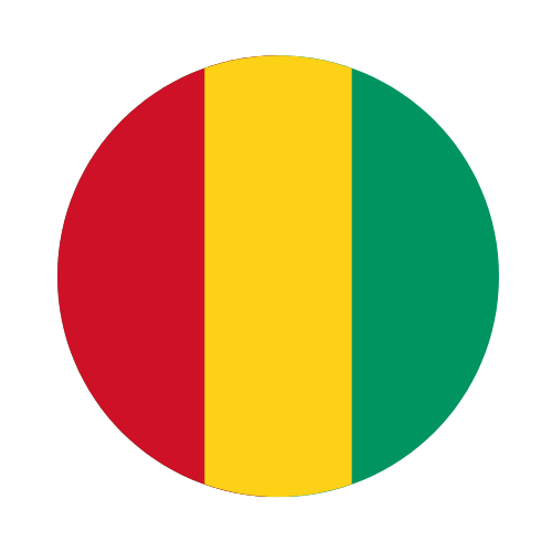 Guinea legalization for company documents Switzerland