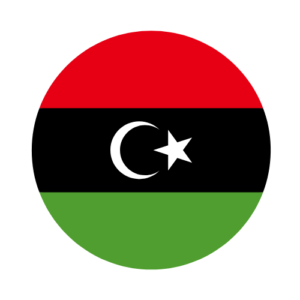 Libya legalization for private individuals Switzerland